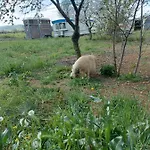 Azienda Agricola Ferrari M.rita Çiftlik konaklama *