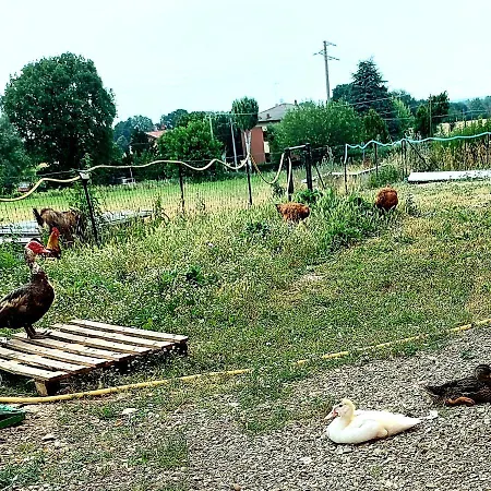 Azienda Agricola Ferrari M.rita Alloggio per agriturismo Pozza