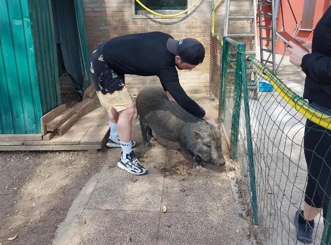 Azienda Agricola Ferrari M.rita *