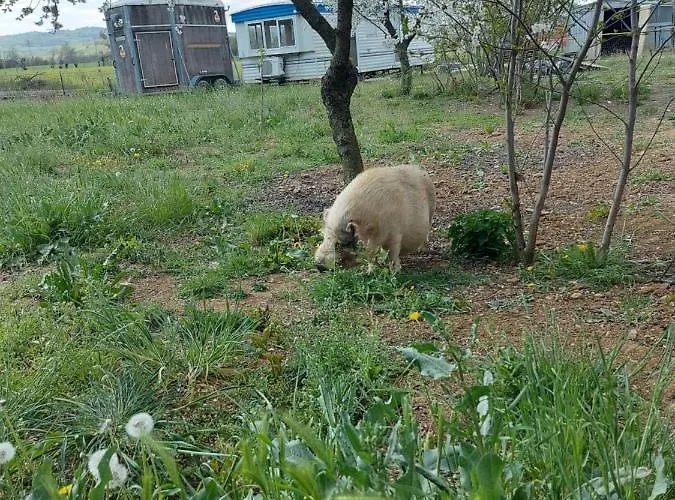 Azienda Agricola Ferrari M.rita Farmház *